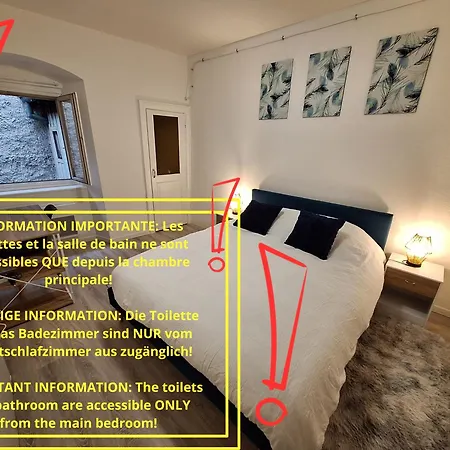 Urban Spirit - Centre Historique, Familial * Mülhausen