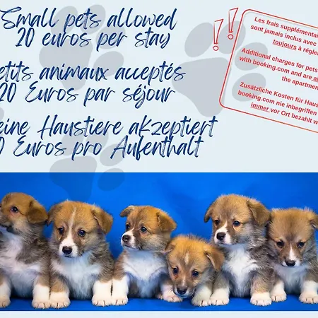 Urban Spirit - Centre Historique, Familial